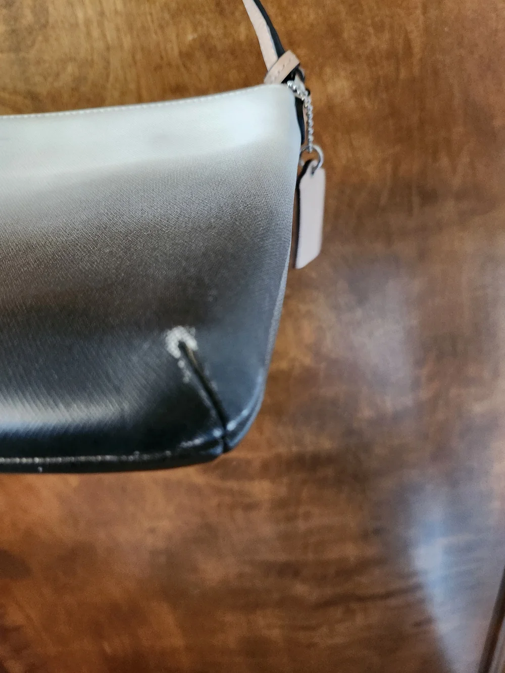 Coach Ombre Crossbody Bag